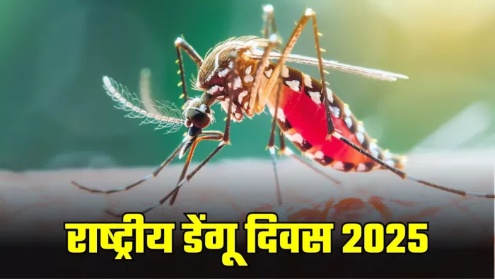 डेंगू से बचाव करने के लिए अपनाएं ये तरीके। (Image Credit- Freepik)