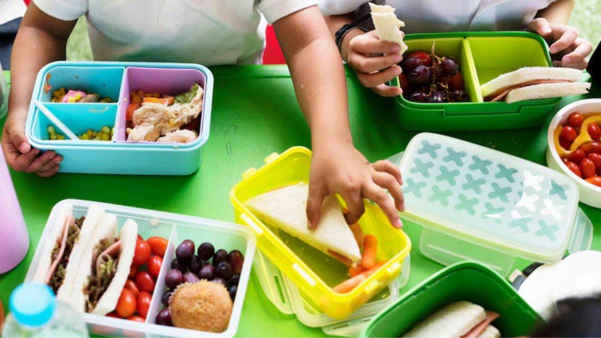 kids lunch box buying guide size material and design tips