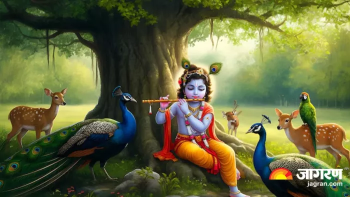 कैसे करें भगवान कृष्ण को प्रसन्न (Pic Credit- Freepik)