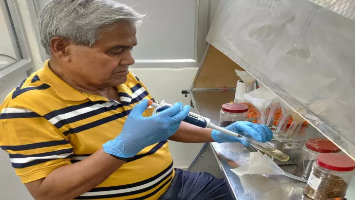 BHU के वनस्पति विज्ञान विभाग की लैब में कीटनाशकों का रासायनिक गुणों का अध्ययन करते प्रो. एनके दुबे।