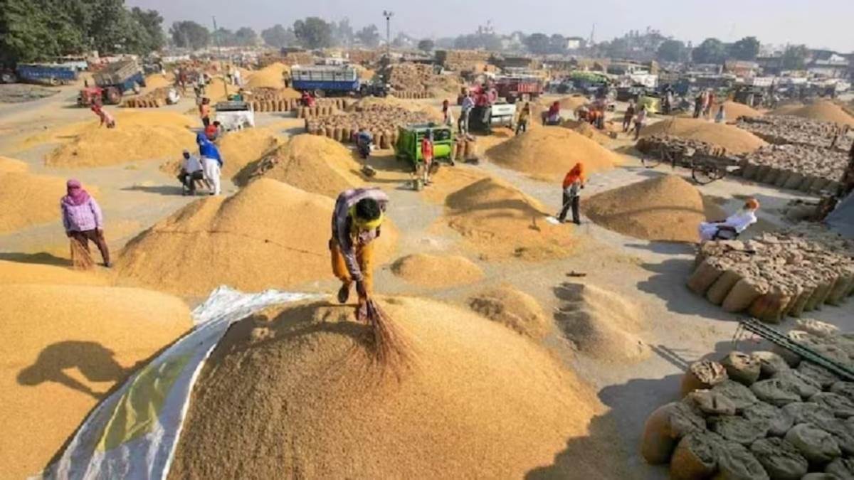 record wheat procurement on msp hits 4 year high in india likely to cross 333 lakh tonnes