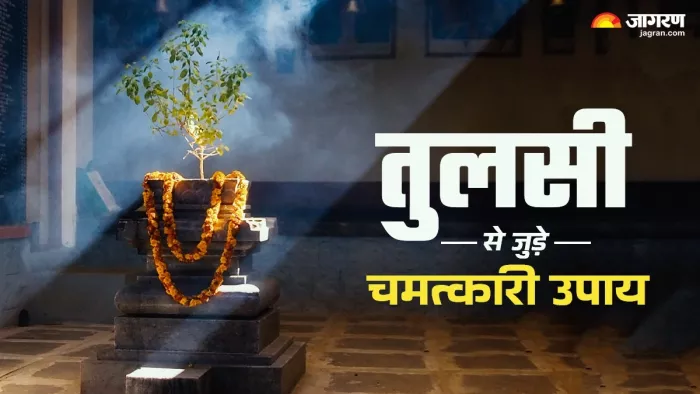 Jyeshtha Month 2025: तुलसी से जुड़े उपाय।