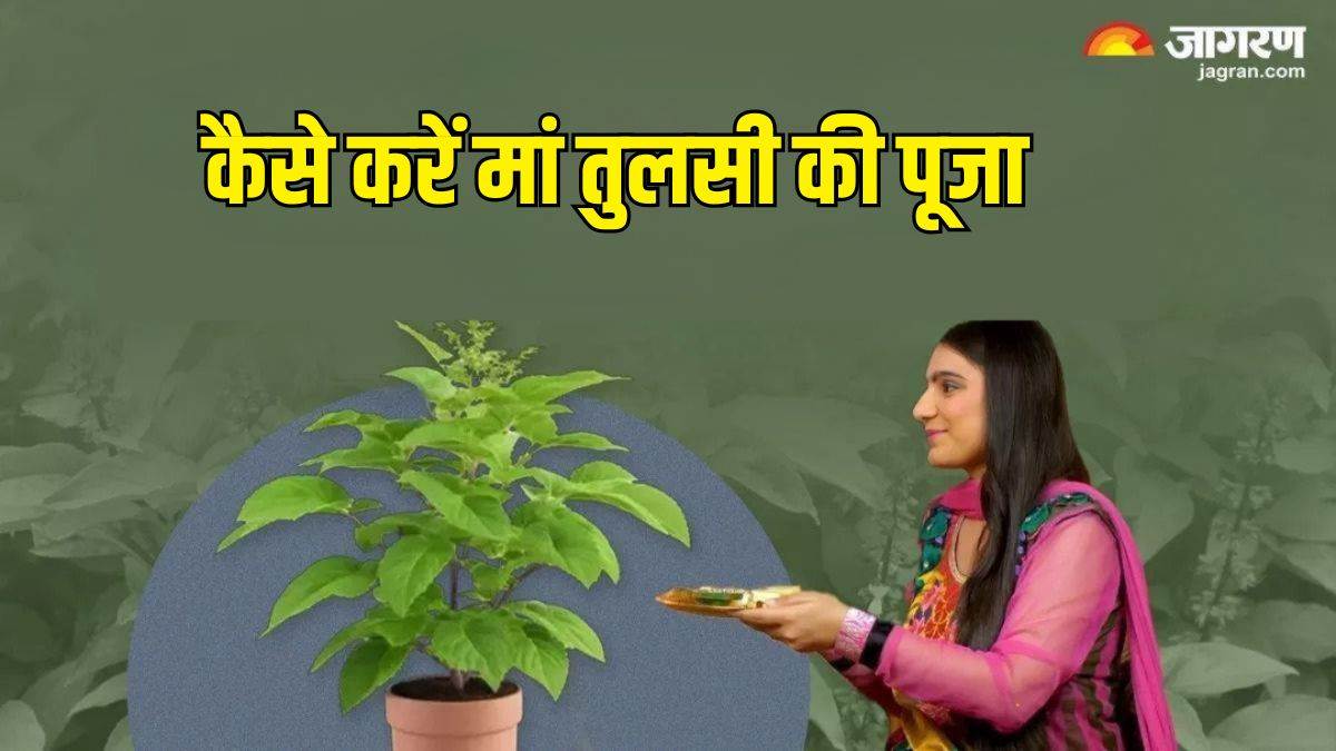 https://www.jagranimages.com/images/newimg/15052025/15_05_2025-tulsi_puja__13_23937673.jpg