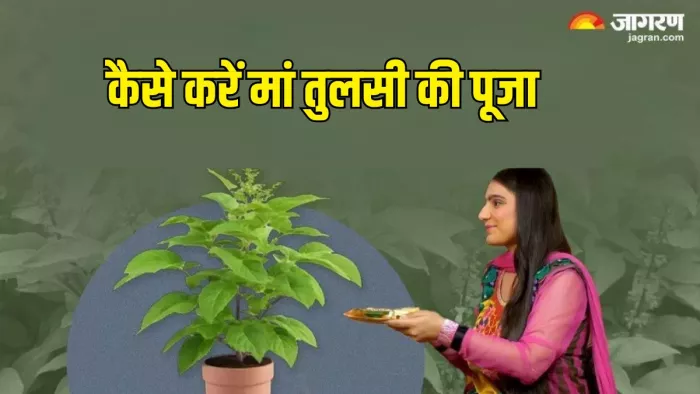तुलसी पूजा के समय करें इन मंत्रों का जप