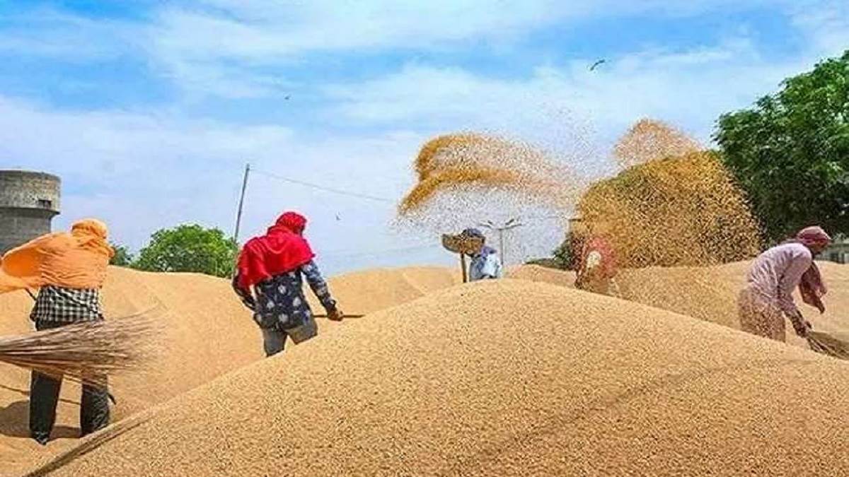 किसानों के लिए खुशखबरी, सरकारी क्रय केंद्रों पर अब 30 जून तक होगी गेहूं की खरीद