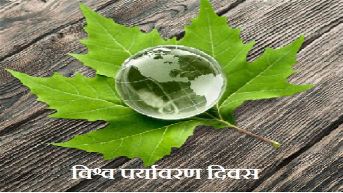 आखिर कैसे बचेगी ये अनमोल धरती? फिनलैंड ने दिखाई दुनिया को नई राह। फाइल फोटो।