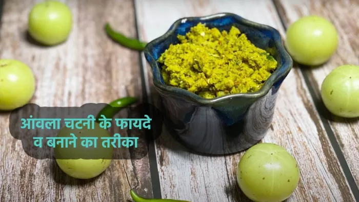 Amla Chutney Benefits: सेहत के लिए फायदेमंद आंवला चटनी