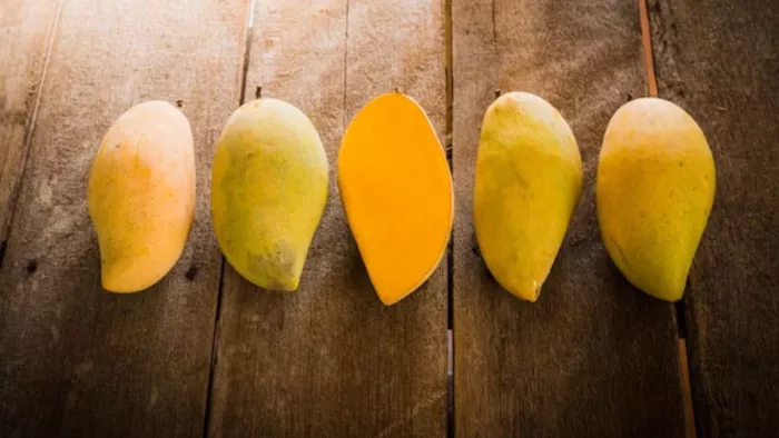 Mango Variety In India: इस तरह करें आम की पहचान