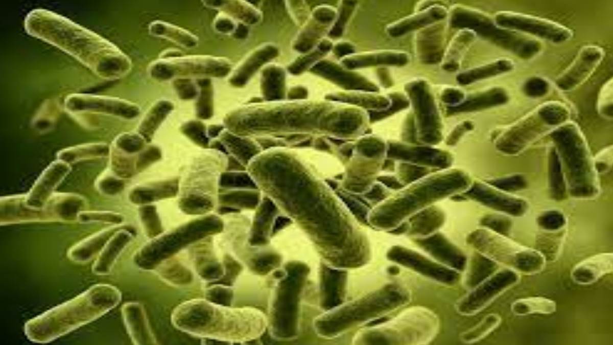 https://www.jagranimages.com/images/newimg/15062024/15_06_2024-bacteria_desease_in_japan_23739706.jpg
