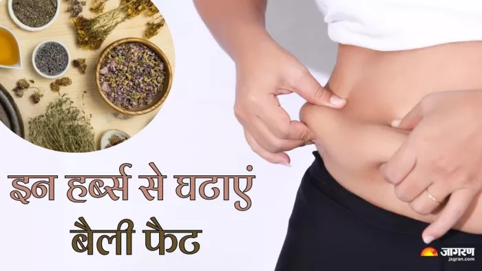 इन हर्ब्स से कम करें बैली फैट (Picture Credit- Freepik)