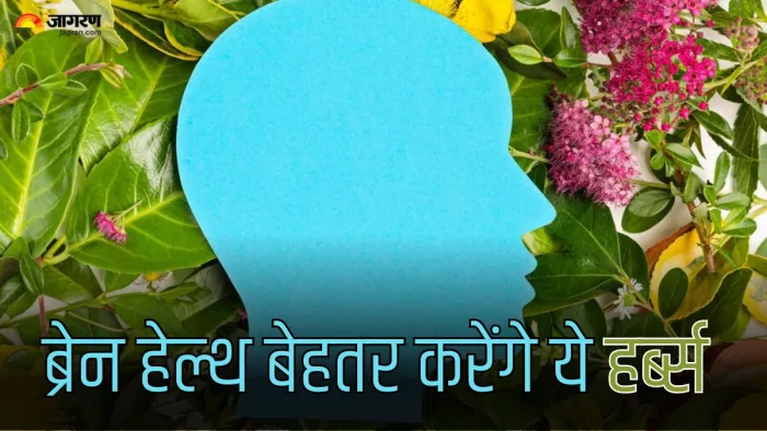 ब्रेन हेल्थ में सुधार करेंगे ये 4 हर्ब्स (Picture Credit- Freepik)