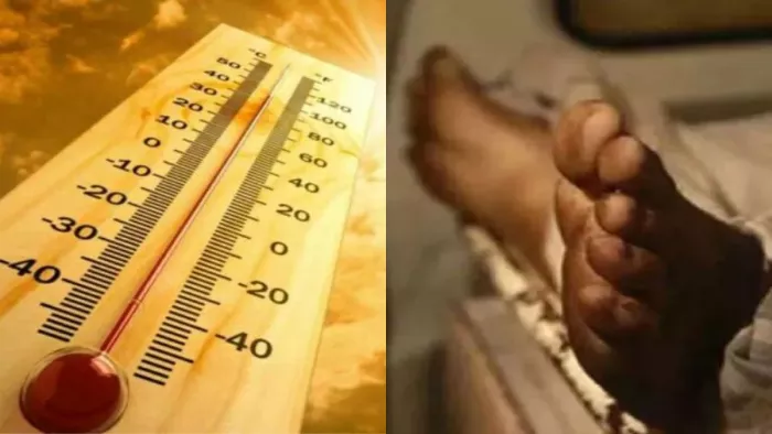 ओडिशा के इन जिलों में 'लू' का कहर! हीटस्ट्रोक से 14 लोगों की मौत