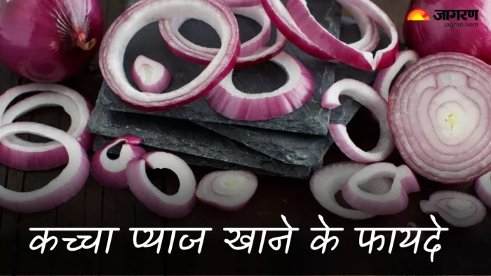 कच्चा प्याज खाने के फायदे (Picture Credit- Freepik)