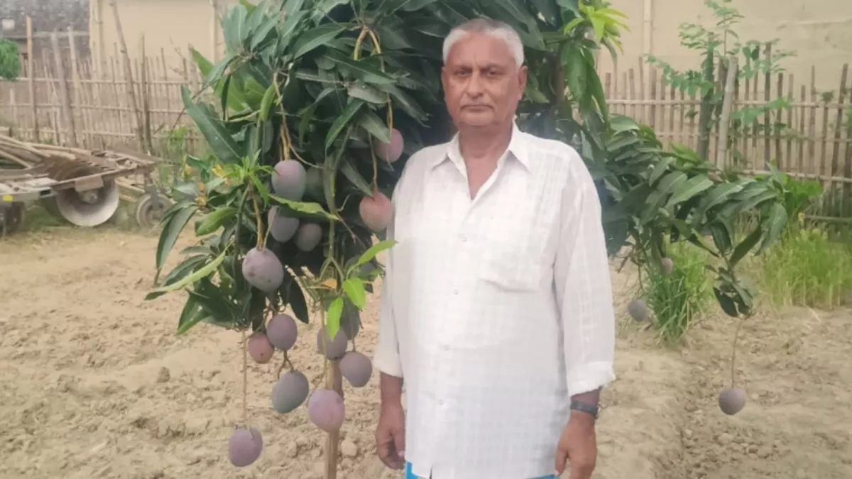 अब बिहार के लोग भी चख सकेंगे दुनिया के सबसे महंगे आम का स्वाद, कीमत जान आप भी रह जाएंगे दंग