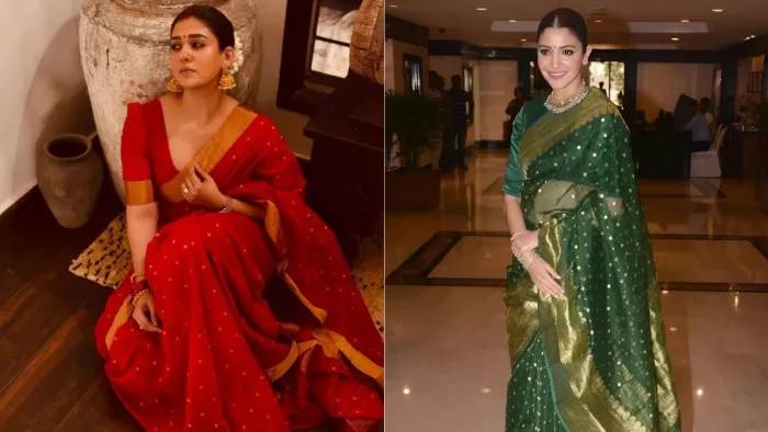 चंदेरी सिल्क साड़ी का कैसे रखें ध्यान? (Picture Courtesy: Instagram)