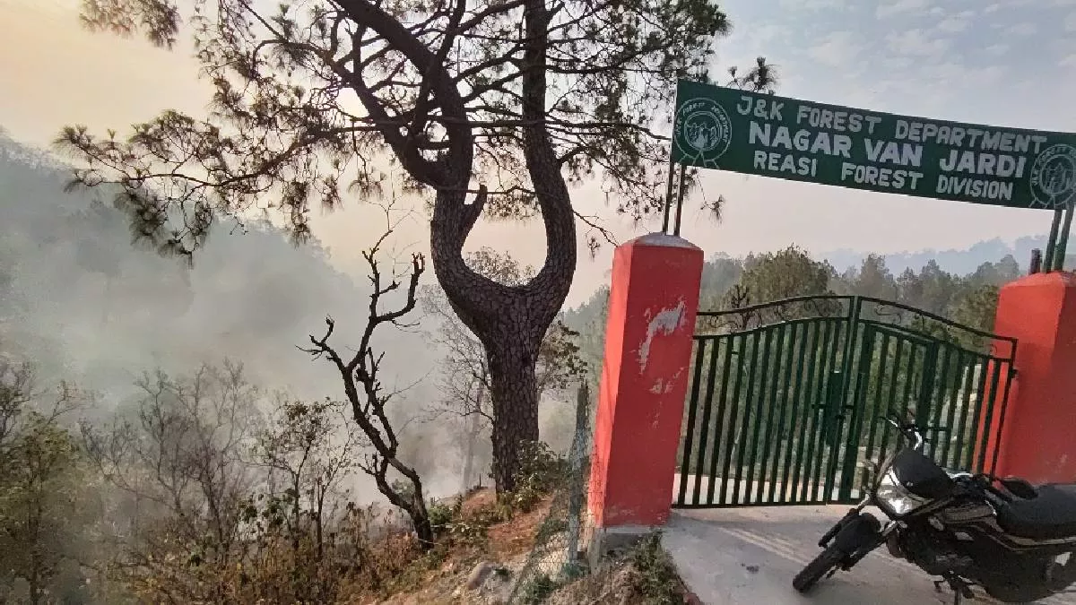 जम्मू-कश्मीर: जरड़ी के जंगलों में लगी भीषण आग, हर साल होती है ऐसी घटनाएं; क्या है कारण?