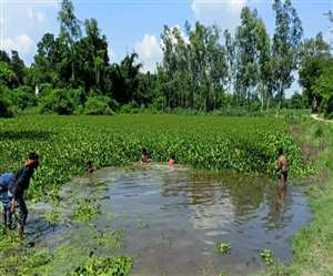 ग्राम प्रधान की मौजूदगी में ग्रामीणों ने पूरे उत्साह के साथ की तालाब की सफाई