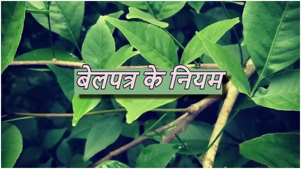 https://www.jagranimages.com/images/newimg/15072023/15_07_2023-belpatra_niyam_23472033.jpg