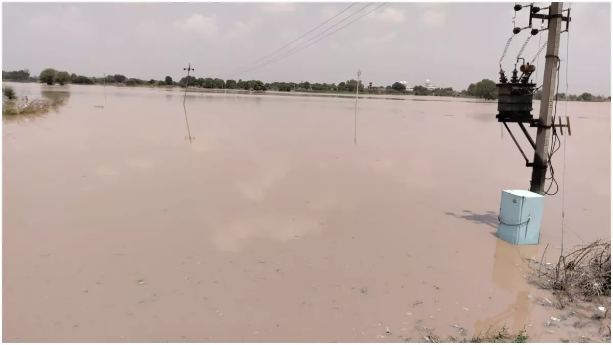 Mansa News: सरदूलगढ़ में घग्गर दरिया में पड़ी दरार, 150 एकड़ में फसलें बर्बाद; घरों के पास पहुंचा पानी