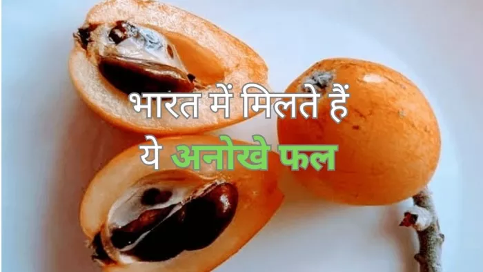 Rare Indian Fruits: भारत में मिलने वाले ये फल हैं सबसे अनोखे