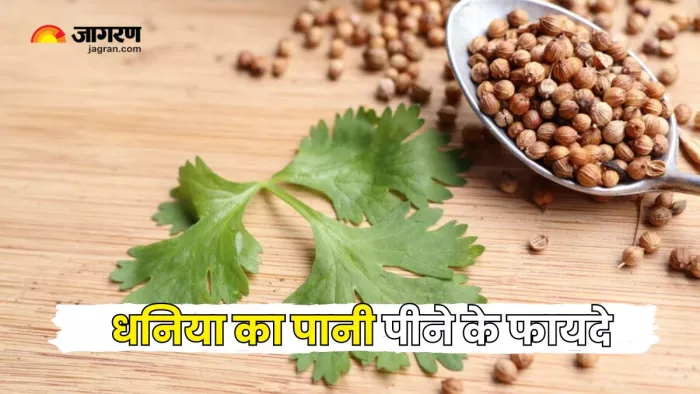 धनिया के बीज को पानी में मिलाकर पीने से मिलते हैं कई फायदे (Picture Courtesy: Freepik)