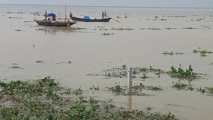 ओझा टोली गंगा घाट पर बना सीडब्ल्यूसी का मापक गेज पर चढ़ा पानी। फोटो- जागरण
