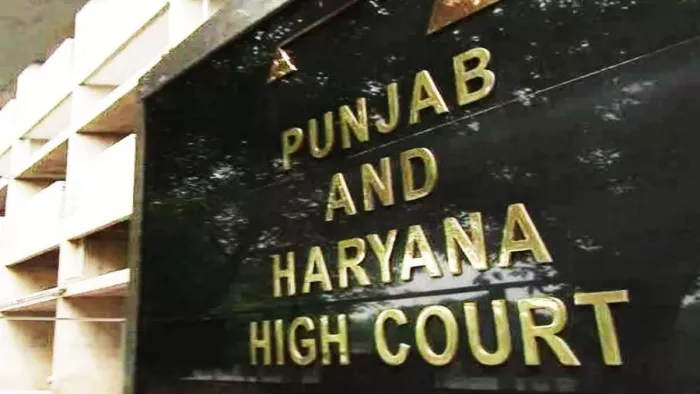 Punjab News: हिजबुल मुजाहिद्दीन से जुड़े चार लोगों को हाईकोर्ट से बड़ी राहत।