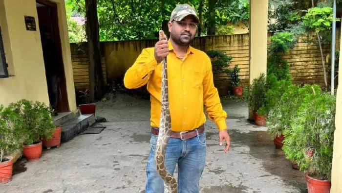 अजगर को रेस्क्यू करता स्नैक मैन राजा बारिक