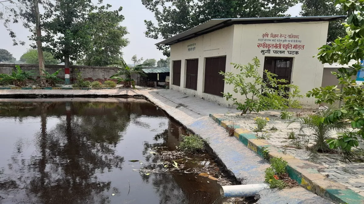 Agriculture News : क्‍या करें जब खेत हो छोटी और उपजाने हों एक साथ तीन पैदावार, किसानों को मिल रहा लाभ