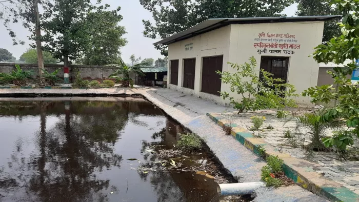 सीमित भूमि पर एक साथ तीन पैदावार लेने का मंत्र बनी एकीकृत कृषि पद्धति