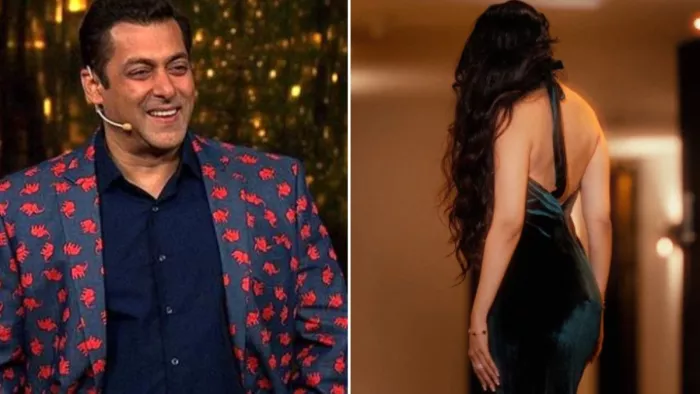 बिग बॉस 19 में एंट्री लेगी इस क्रिकेटर की एक्स वाइफ/ फोटो- Instagram