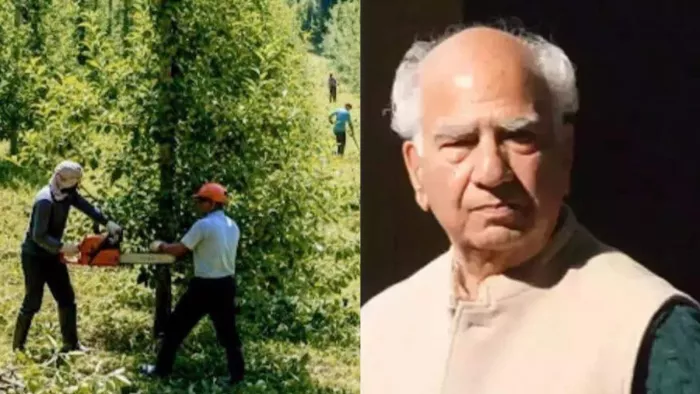 शिमला में अवैध रूप से लगाए सेब के पेड़ों को काटते कर्मचारी व पूर्व मुख्यमंत्री शांता कुमार।