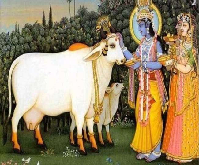 Bach Baras Me Kya Khaye Bach Baras 2020: गाय− बछड़े की पूजा से दूर हो जाते हैं सारे कष्ट, जानिए