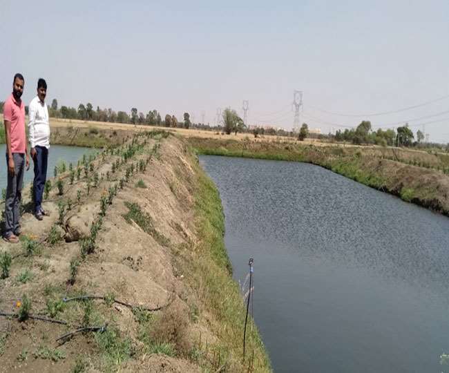 न्यूजीलैंड में एक अच्छी नौकरी छोड़ गांव लौट आए और अब मछली पालन कर रहे हैं।