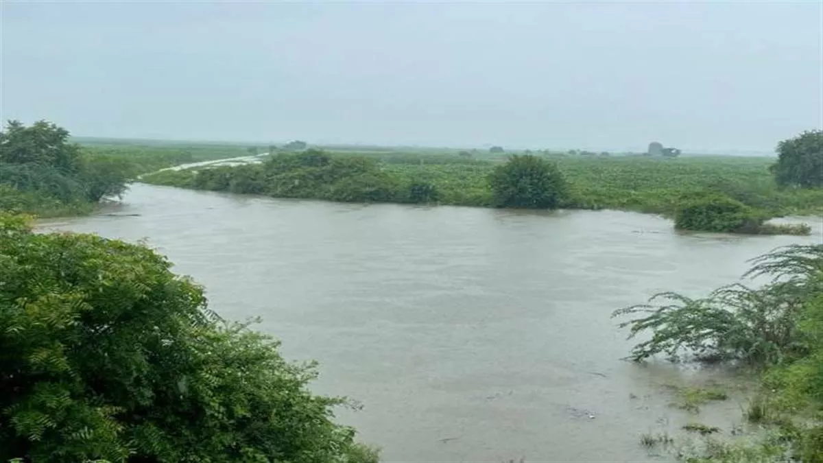 Noida News: यमुना में बाढ़ से जेवर में सैकड़ों बीघा फसल पानी में डूबी, क्षेत्र में बिजली आपूर्ति की गई बंद