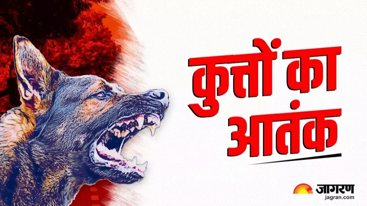 आवारा आतंक: लाइसेंस नहीं फिर भी कुत्तों की खरीद-बिक्री जारी, हर साल हो रहा लाखों का कारोबार