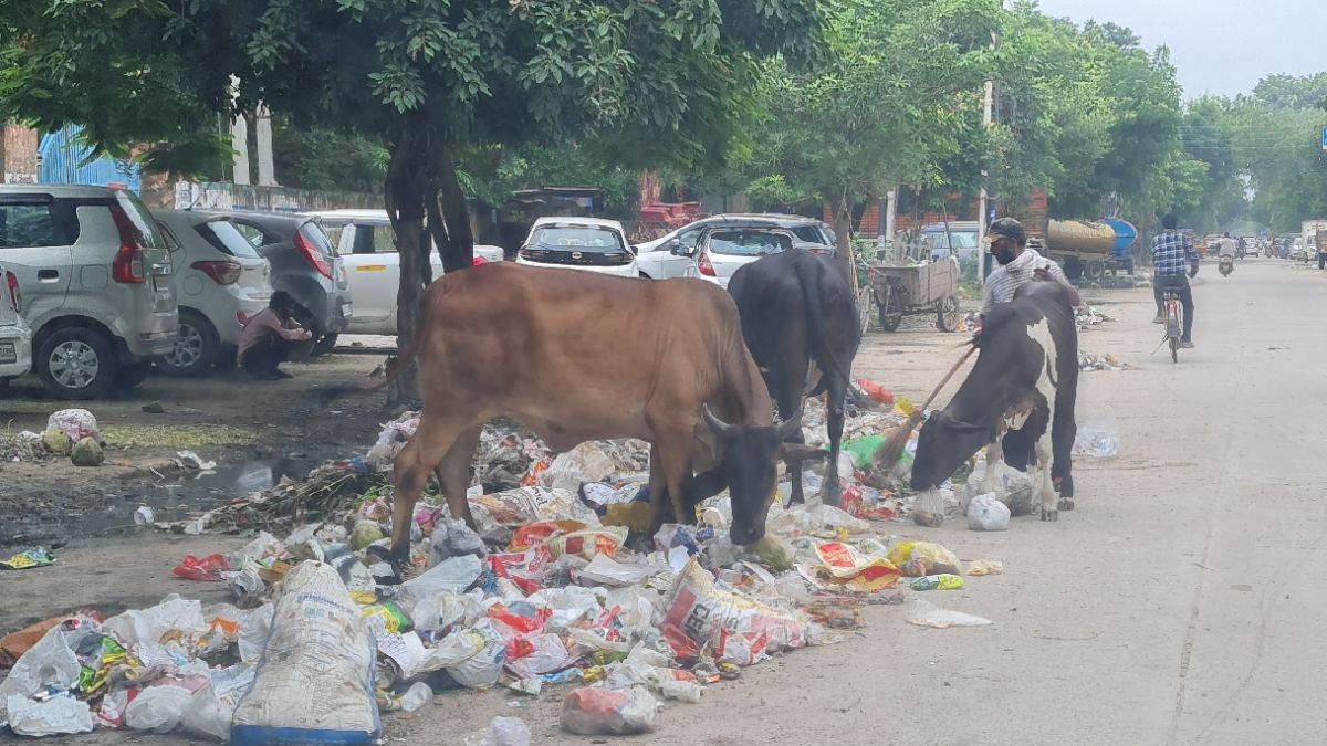 https://www.jagranimages.com/images/newimg/15082025/15_08_2025-gurugram_news_1_24014149.jpg