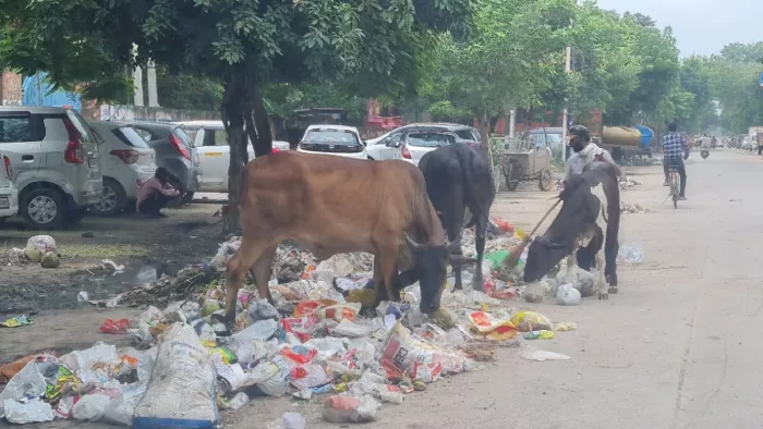 एक महीने में श्हर का कचरा साफ करने की योजना तैयार की गई।