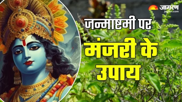 मंजरी के चमत्कारी उपाय (Picture Credit: Freepik)