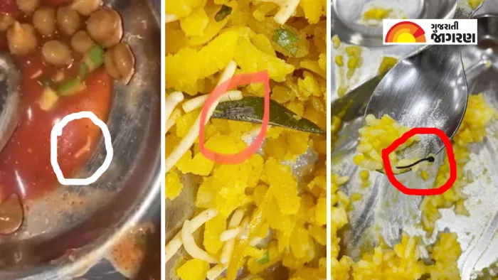 अहमदाबाद विश्वविद्यालय के हास्टल के भोजन में कीड़े निकलने की घटना सामने आई है