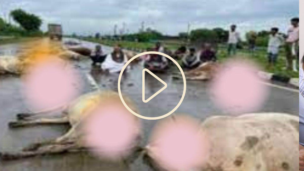 MP Cow Death: हाइवे पर गायों के बिखरे शव से आहत हुए कम्प्यूटर बाबा, धरने पर बैठे - Vimarsana News