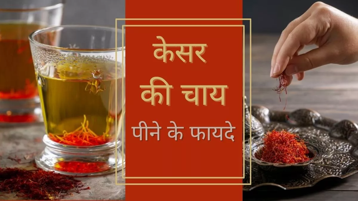 SaffronTea: चाय-कॉफी नहीं केसर की चाय से करें दिन की शुरुआत, न्यूट्रिशनिस्ट से जानें इसके गजब के फायदे