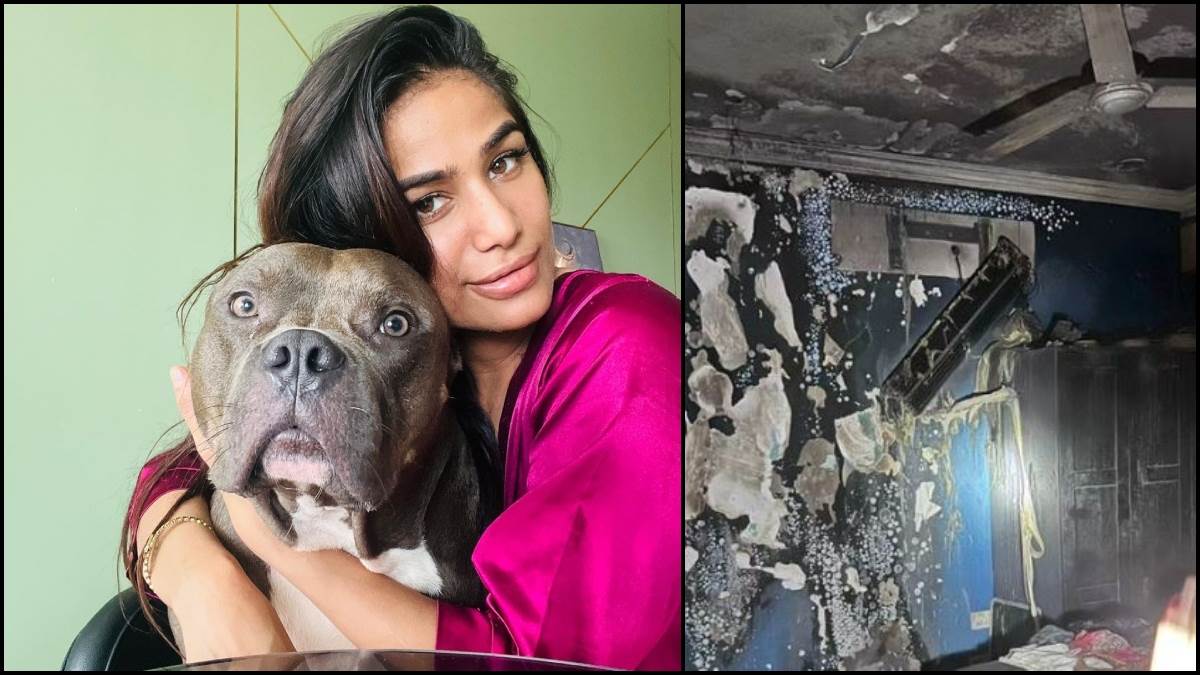 Poonam Pandey के घर में लगी आग, बाल-बाल बचा एक्ट्रेस का डॉगी, वीडियो आया  सामने - Poonam Pandey House caught fire her dog was rescued by maid watch  video