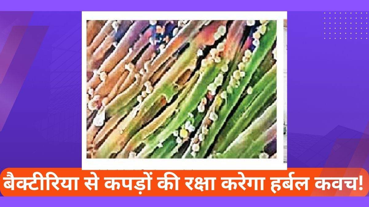 https://www.jagranimages.com/images/newimg/15092023/15_09_2023-prayagraj_news_23530866.jpg