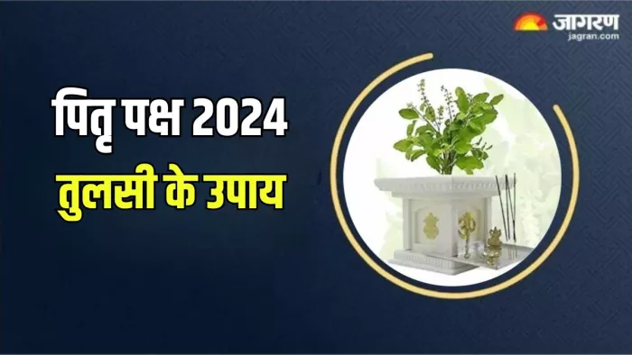 Tulsi Ke Upay: तुलसी के चमत्कारी उपाय