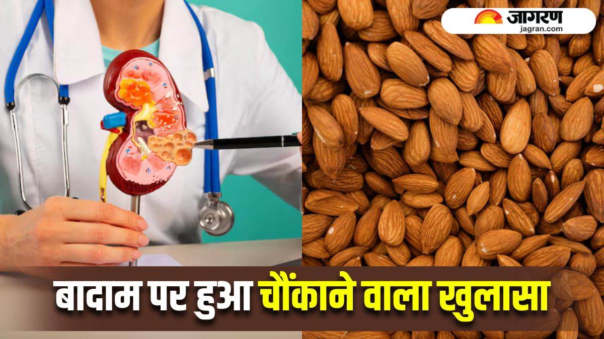 https://www.jagranimages.com/images/newimg/15092025/15_09_2025-almonds_to_kidney_stone_risk_24047908.jpg