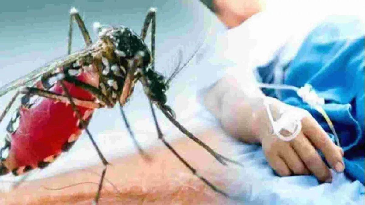 https://www.jagranimages.com/images/newimg/15092025/15_09_2025-dengue_patiente_24048226_205518150.jpg
