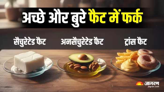 क्या है सैचुरेटेड, अनसैचुरेटेड और ट्रांस फैट के बीच का अंतर? (Image Source: AI-Generated)