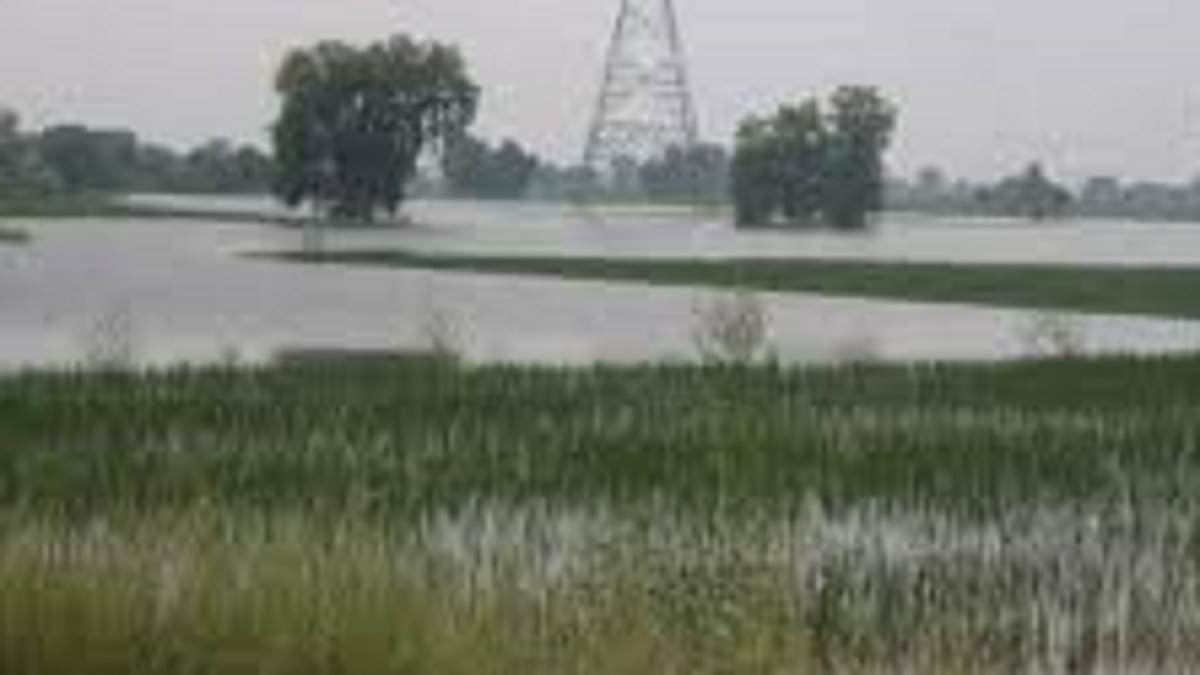 https://www.jagranimages.com/images/newimg/15092025/15_09_2025-flooded_24048248.jpg