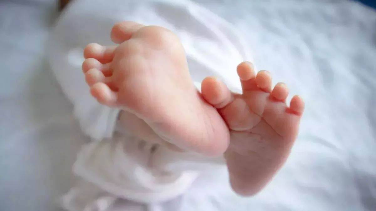 https://www.jagranimages.com/images/newimg/15092025/15_09_2025-newborn-_24047279_232225184.jpg